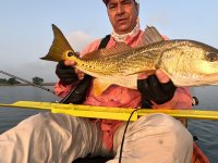 28&quot; Redfish on 20240429
